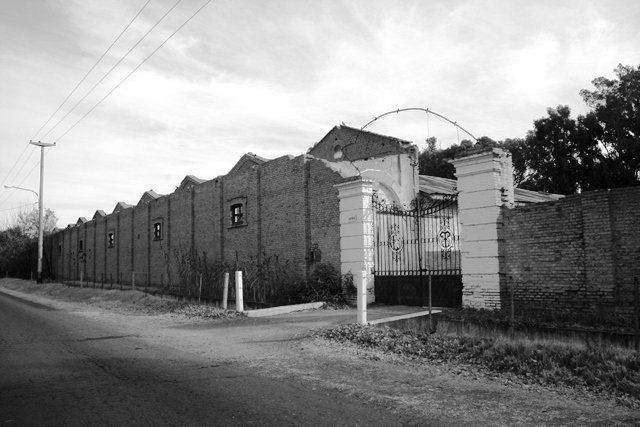 Historia de Tirasso, el de los grandes vinos