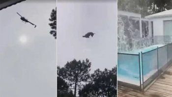 El empresario que tiró el cordero desde un helicóptero confesó y pidió perdón