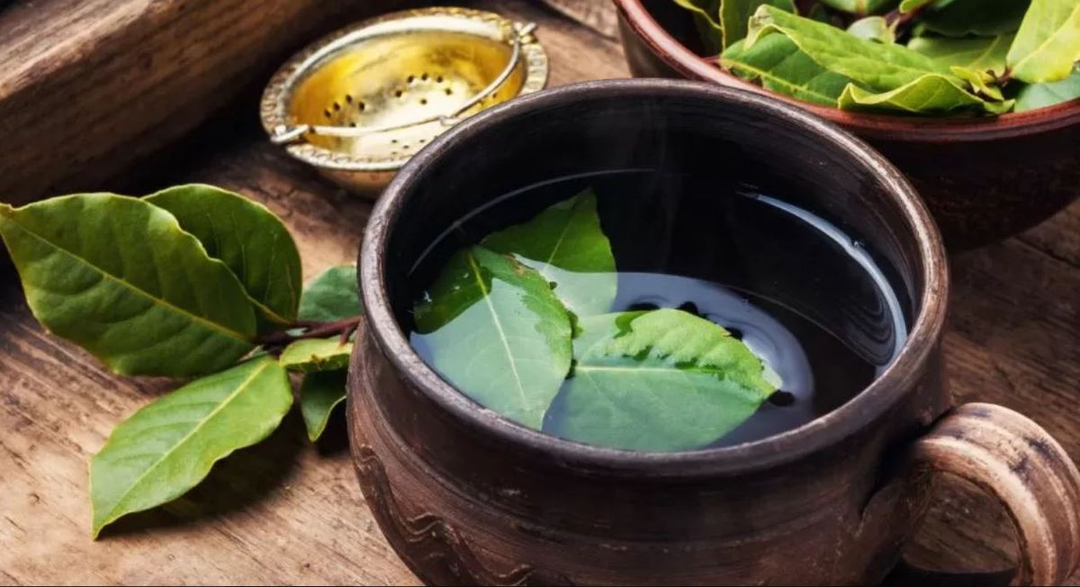 Beneficio de tomar té de laurel. Beneficio de tomar té de laurel.