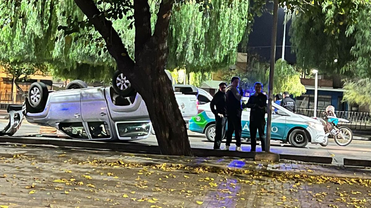 Además de estar borracho, el conductor alcoholizado no tenía licencia de conducir ni seguro de su camioneta. Además de estar borracho, el conductor alcoholizado no tenía licencia de conducir ni seguro de su camioneta.