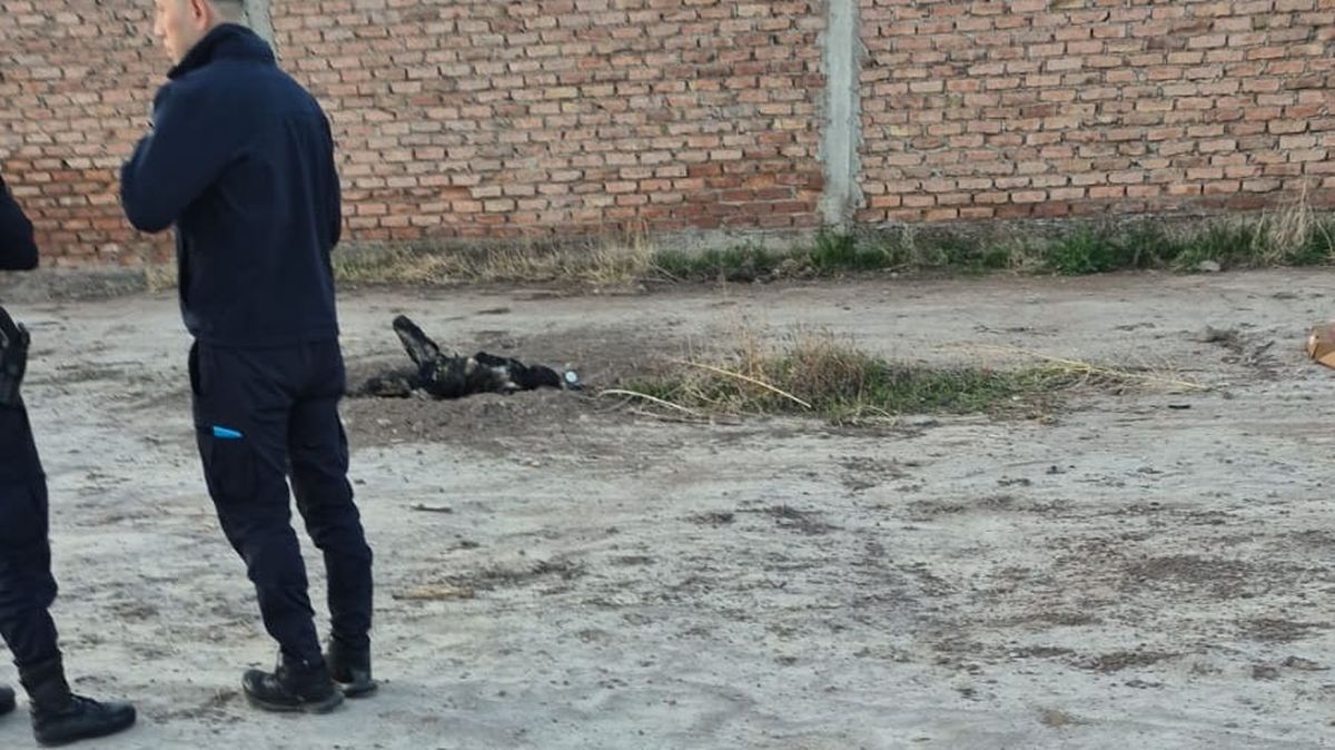 El cuerpo de un hombre fue hallado cuando todavía le salía humo en Guaymallén. Investigan quién es la víctima del asesinato y su autor.