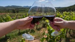 Un vino mendocino quedó segundo entre los 100 mejores del mundo.