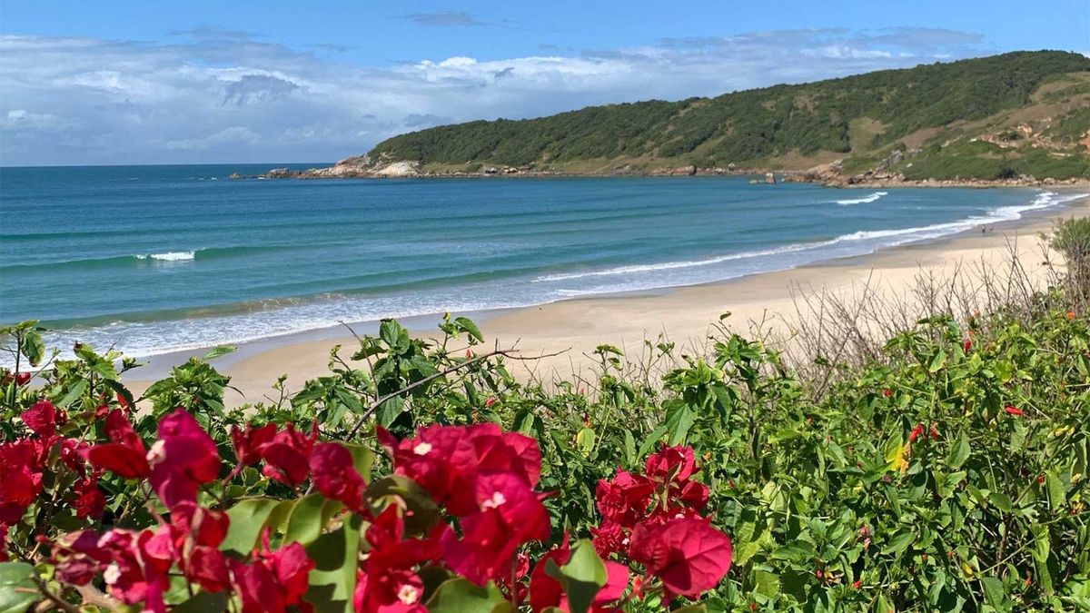 Conoce el pueblo de Brasil que tiene playas fascinantes y es ideal para tus próximas vacaciones. Imagen: Pexels