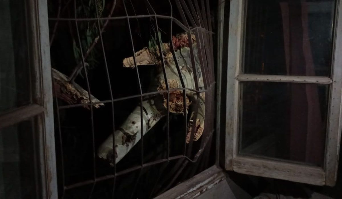 Árbol caído se incrustó en una casa de Las Heras. Árbol caído se incrustó en una casa de Las Heras.