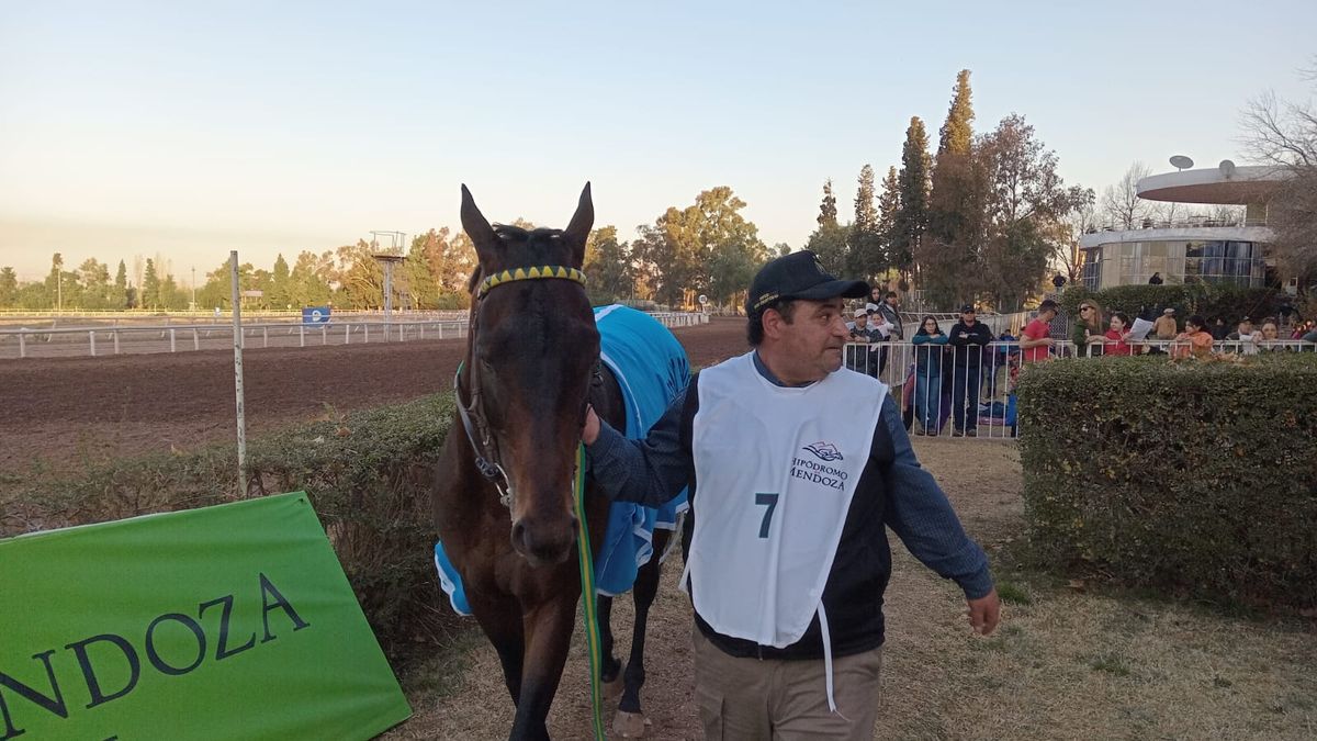 José López y Code Breaker, el propietario y el ganador del Clásico Santo Patrono Santiago. José López y Code Breaker, el propietario y el ganador del Clásico Santo Patrono Santiago.