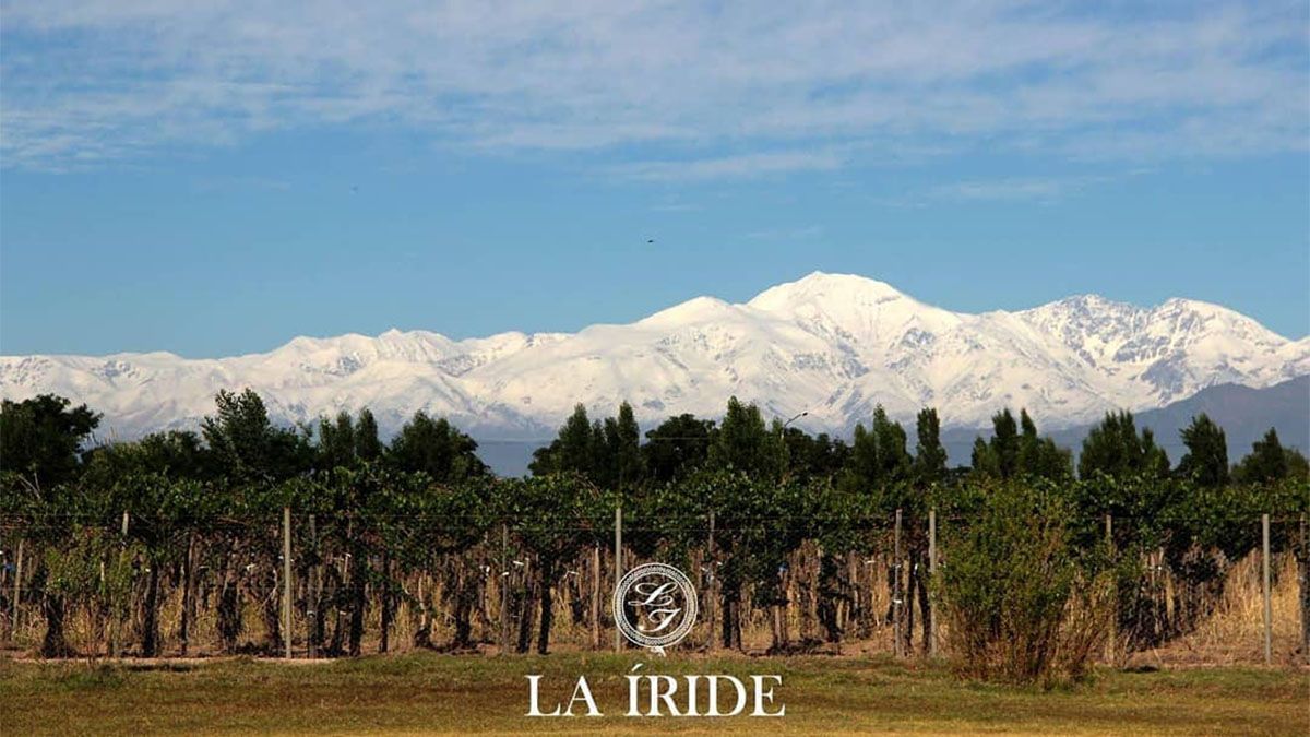 Boqueteros robaron en la bodega La Íride, de Maipú
