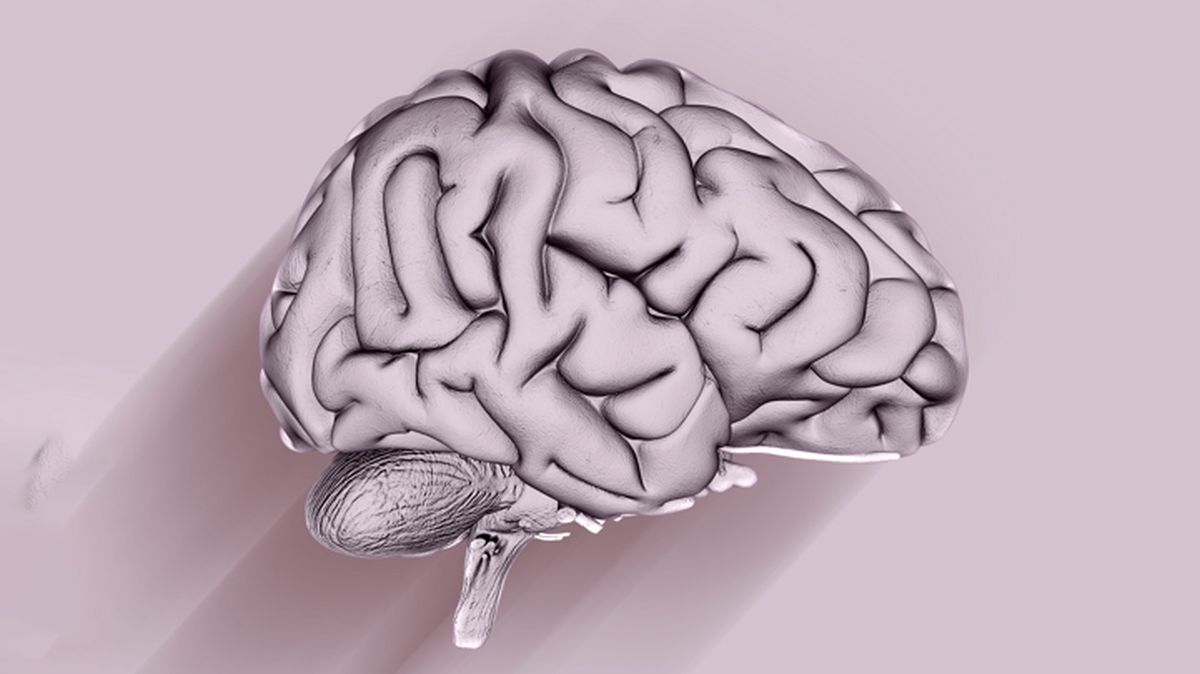 Un desafío matemático desafía a nuestro cerebro y mejora la rapidez mental. Un desafío matemático desafía a nuestro cerebro y mejora la rapidez mental.