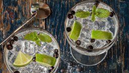 Receta para hacer un gin tonic.