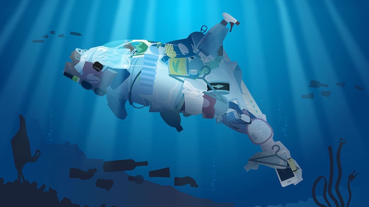 (Foto: WWF) (Foto: WWF)