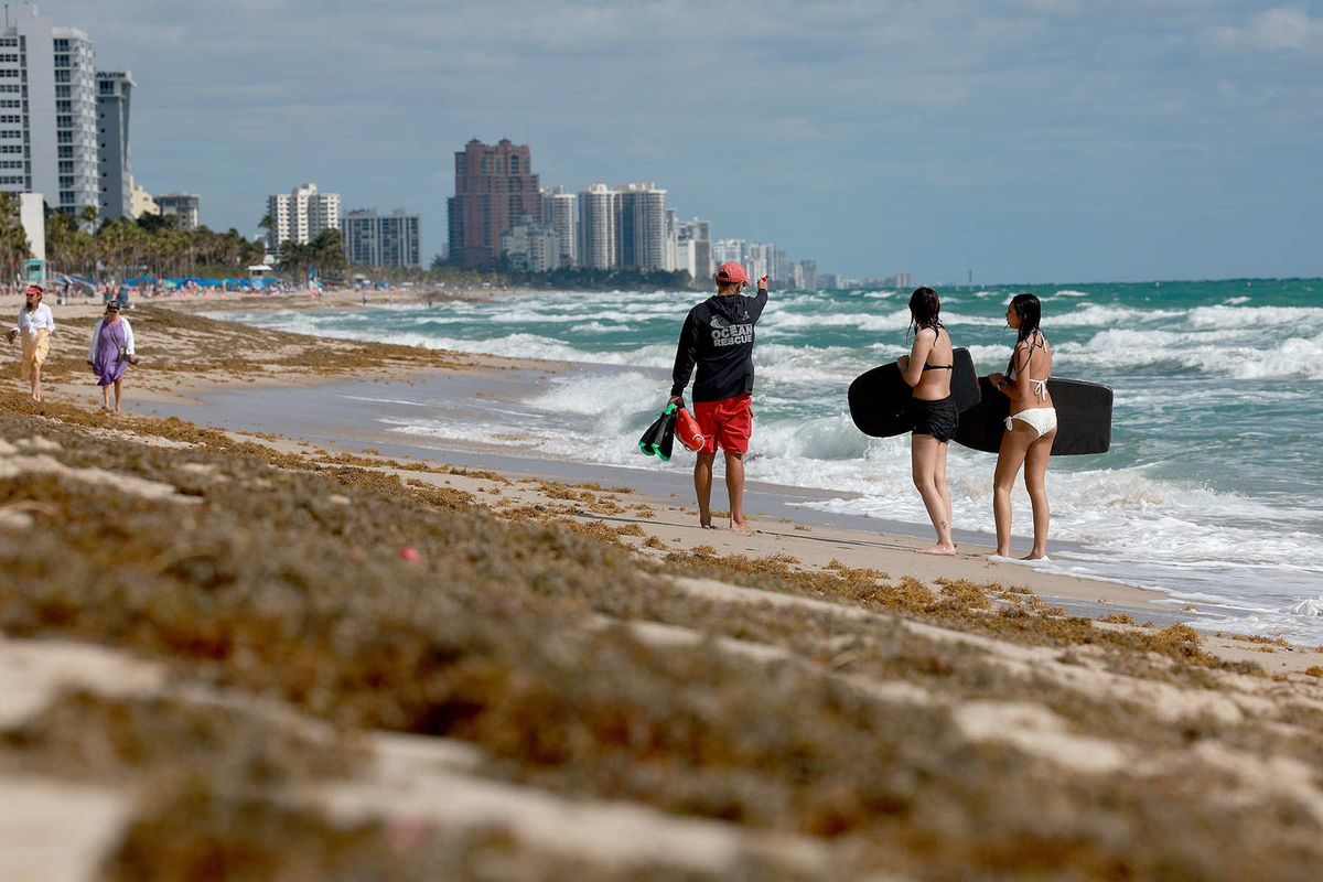 Cientos de playas se ven afectadas por este fen&oacute;meno que ni los cient&iacute;ficos saben c&oacute;mo controlar.