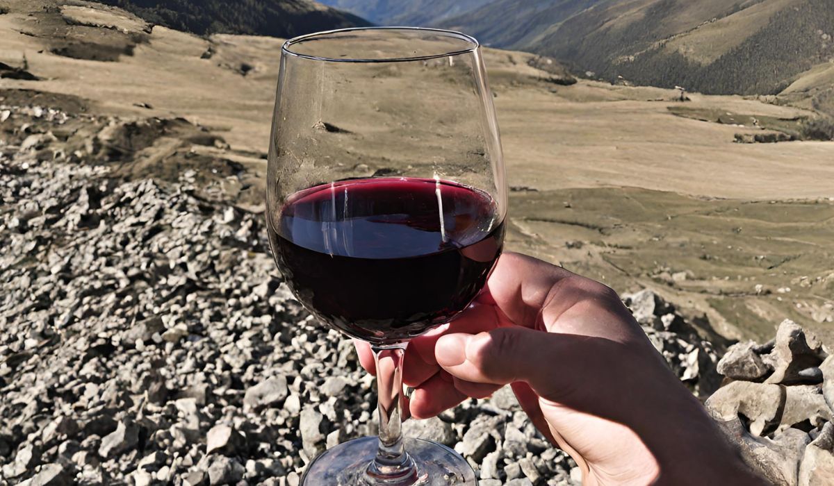 Cada 17 de abril es el Día internacional del Malbec.
