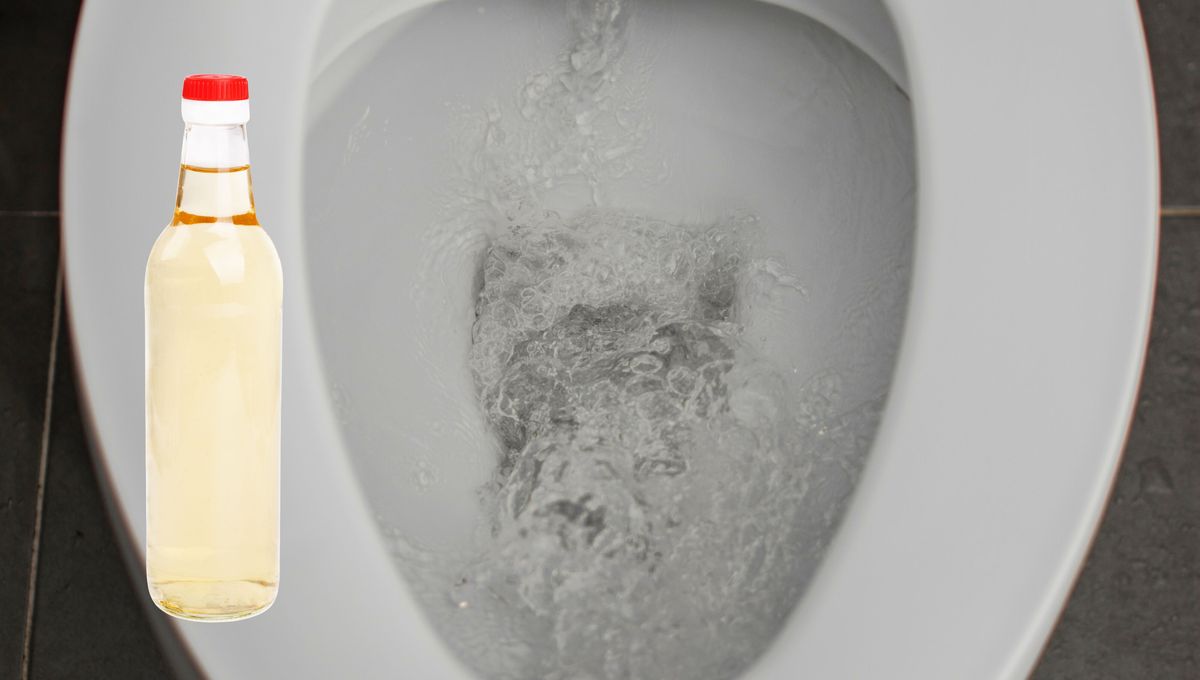 Para usar vinagre en este truco, lo ideal es utilizar vinagre de limpieza y diluirlo con agua para reducir su pureza. Para usar vinagre en este truco, lo ideal es utilizar vinagre de limpieza y diluirlo con agua para reducir su pureza.