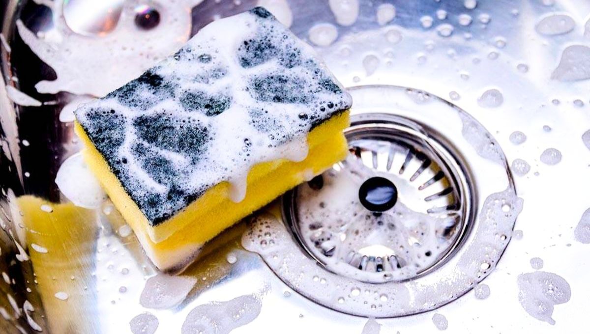 La esponja de lavar los platos acumula gran cantidad de bacterias