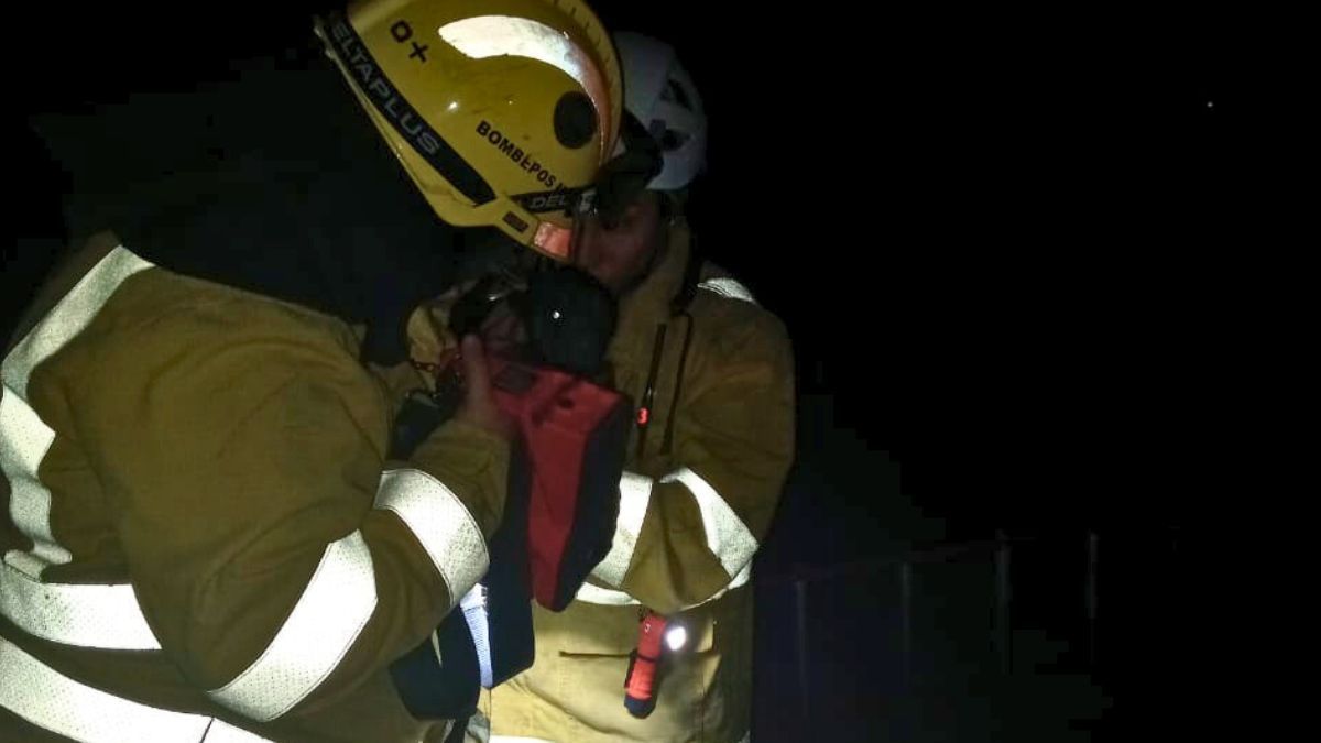 Emotivo rescate de un perro callejero que cayó a un pozo de 5 metros de profundidad