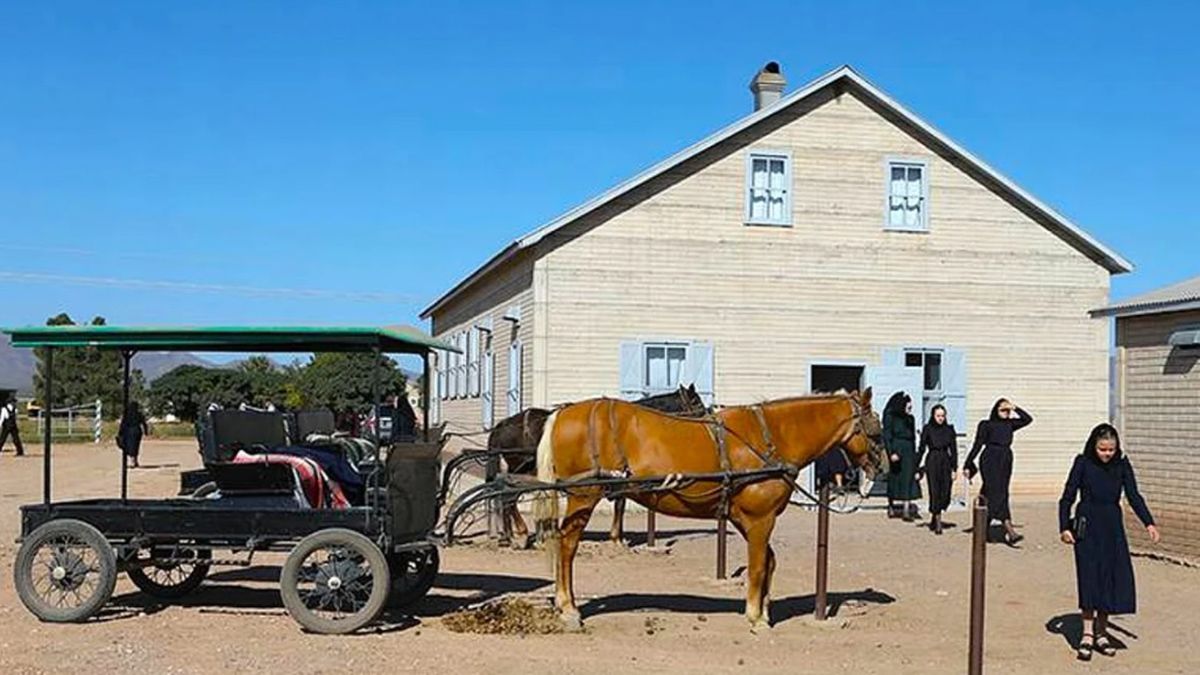 Menonitas en Argentina: cómo vive este grupo religioso en un tranquilo paraje de la Pampa