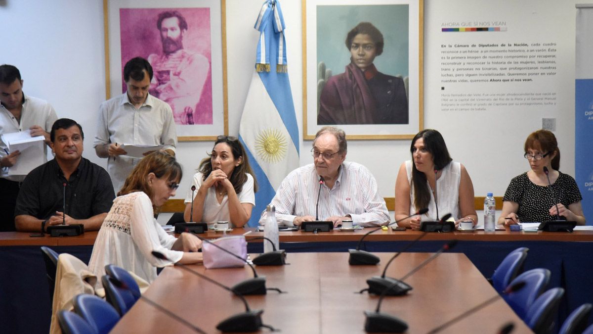 El tratamiento en comisión de la Cámara de Diputados de la ley previsional tuvo dictamen favorable. Pero no llegó al recinto de sesiones todavía.