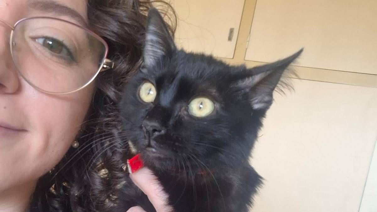 Carboncito tiene una enfermedad rara y muchas ganas de vivir. Carboncito tiene una enfermedad rara y muchas ganas de vivir.