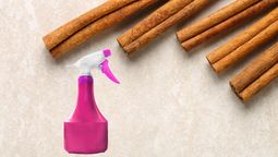 ¿Por qué debes rociar tu hogar con agua y canela?