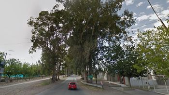 El conductor de una camioneta murió al estrellarse contra un árbol