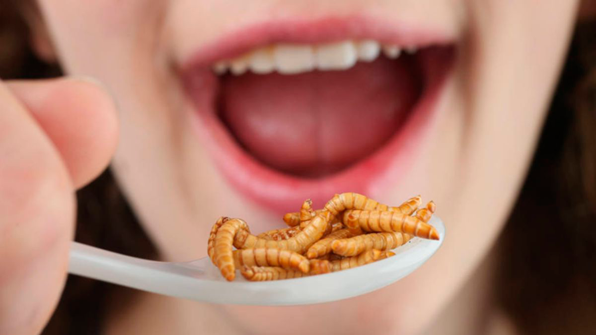 Para el significado de los sueños, comer gusanos con tranquilidad puede ser un buen mensaje del inconsciente.