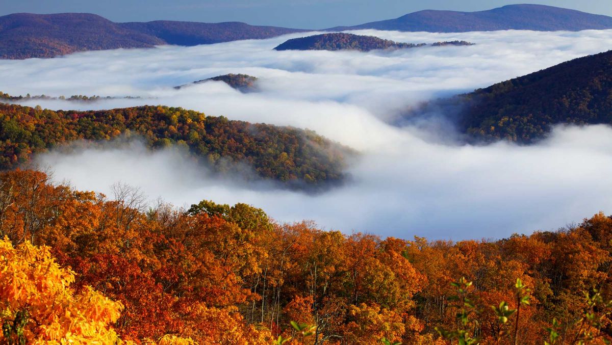 Los Montes Apalaches tienen varias leyendas Los Montes Apalaches tienen varias leyendas