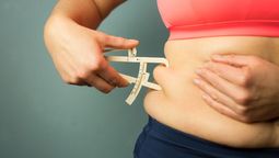 Qué alimentos sirven para derretir la grasa del cuerpo de manera saludable