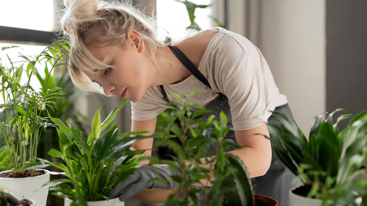 Un descubrimiento reveló los beneficios de hablar con las plantas