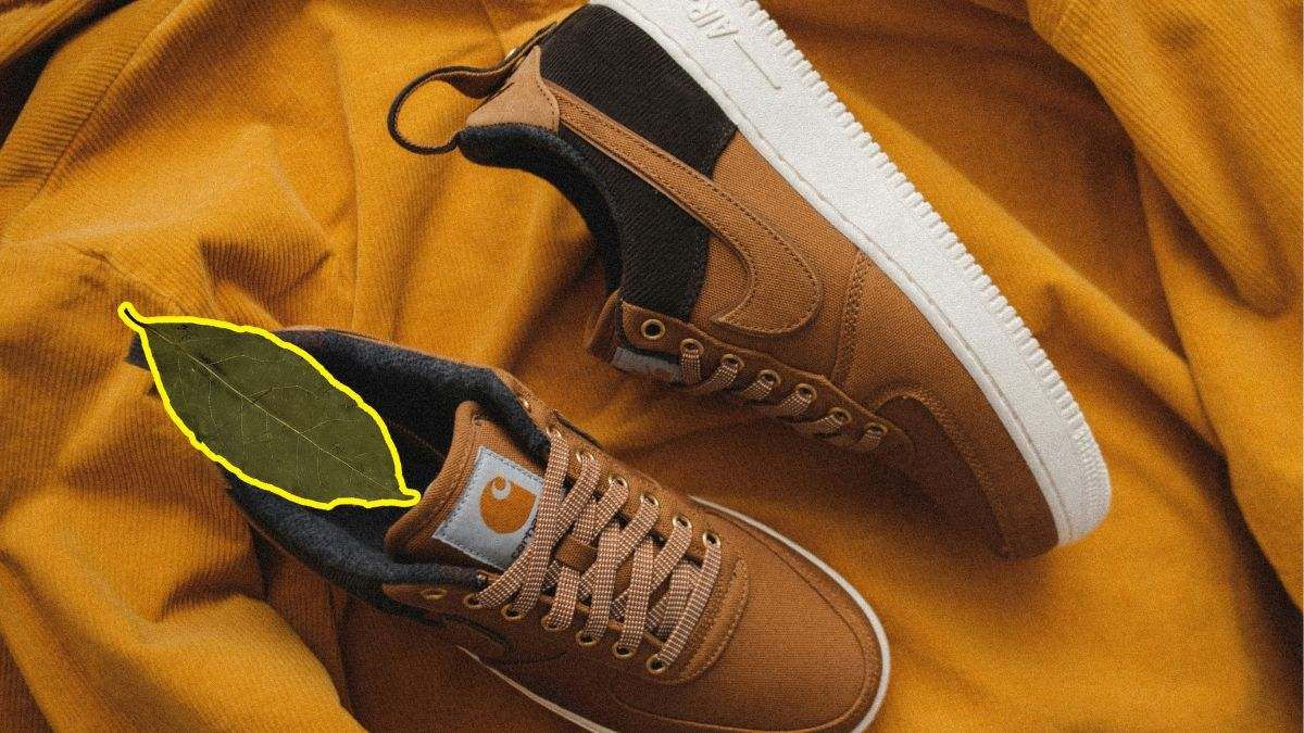 Que sucede si pongo una hoja de laurel en mi zapato: el ritual infalible del Feng Shui. Fuente: elEconomista Que sucede si pongo una hoja de laurel en mi zapato: el ritual infalible del Feng Shui. Fuente: elEconomista