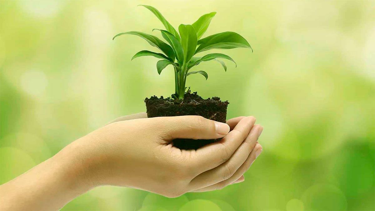 Los beneficios de reciclar nuestros residuos son enormes en comparación con la acción tan sencilla y cotidiana que supone. Los beneficios de reciclar nuestros residuos son enormes en comparación con la acción tan sencilla y cotidiana que supone.