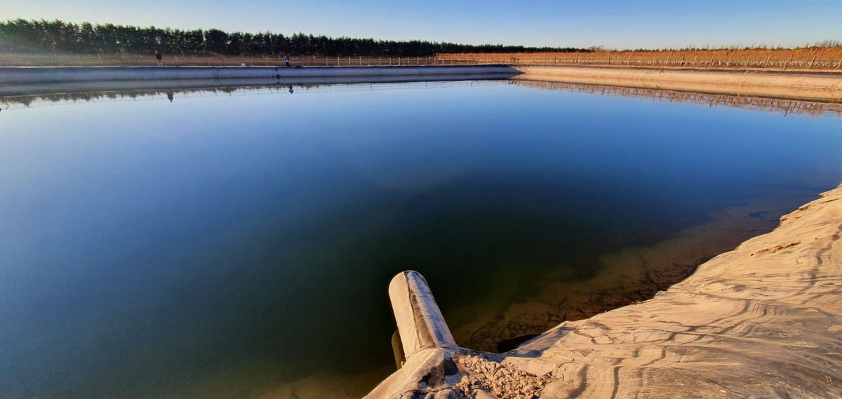 La mujer había sido encontrada este viernes a la tarde en este estanque, donde este sábado apareció flotando el cuerpo de su pareja. Aún no se sabe qué pasó con la pareja muerta en Luján.