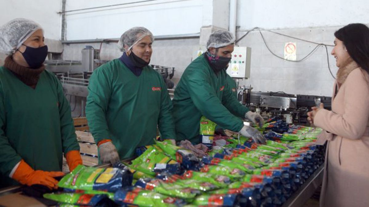 Los alcances del programa Enlazados fueron destacados por Natacha Eisenchlas.