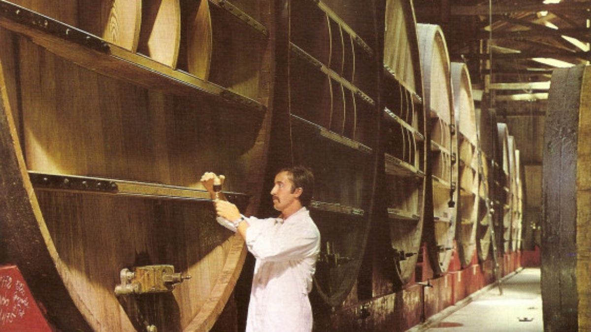 Vinos Sasetru. La mega empresa alimenticia tenía muchas propiedades en la zona Cuyo, entre ellas la Bodega Tupungato, que fuera fundada por la sociedad Gabrielli-Baldini, y que tenía una extensa gamas de productos vínicos, y también aceiteros y conservas.