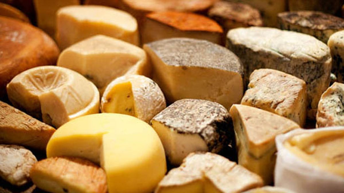 Conocé los 20 quesos que más engordan