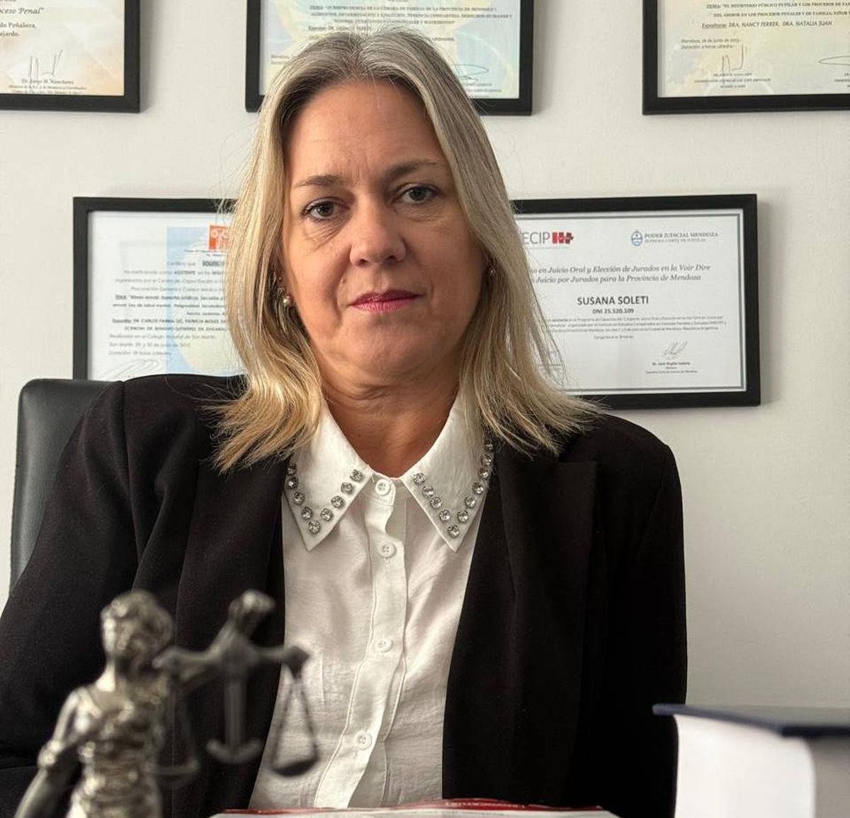 Susana Soletti, abogada querellante del caso del joven goleado por patovicas en un cumpleaños de 15. Susana Soletti, abogada querellante del caso del joven goleado por patovicas en un cumpleaños de 15.