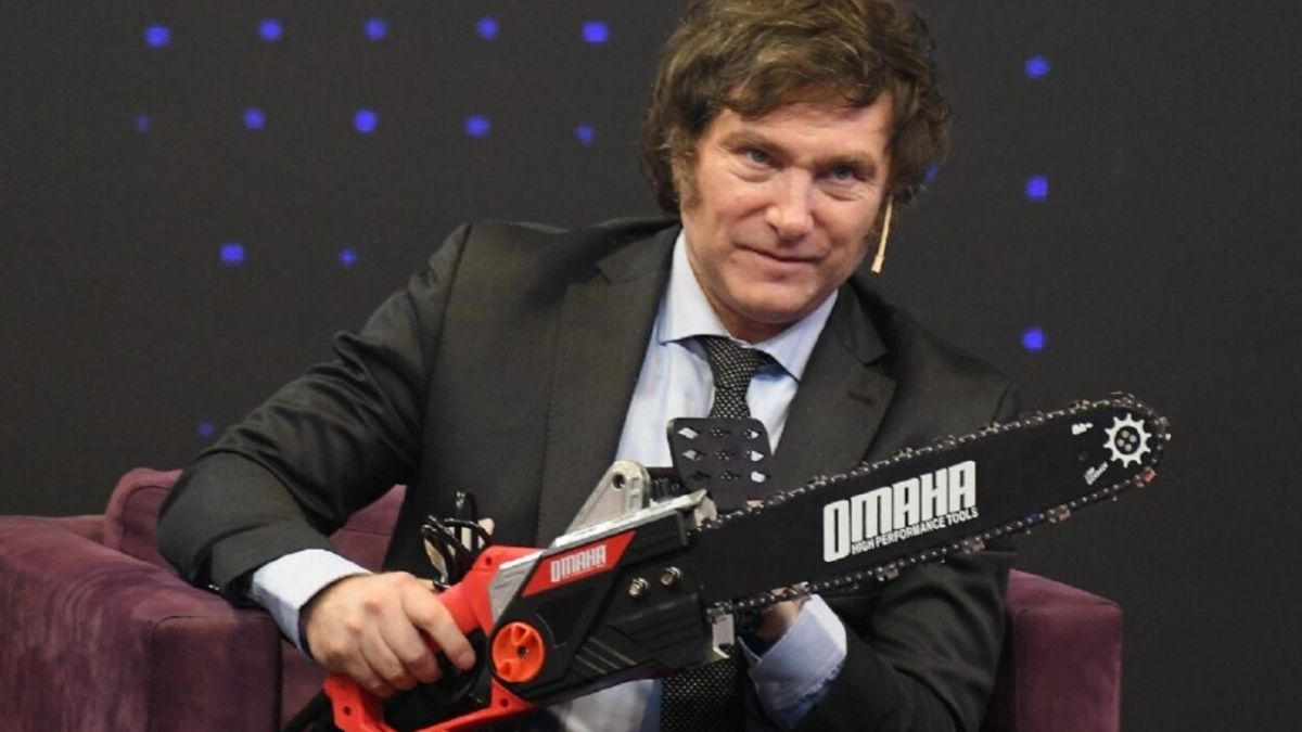 Ajuste: en el primer año de Milei, las partidas ambientales cayeron hasta un 81%.