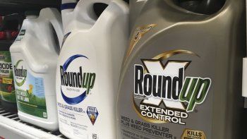 Suben a 18.400 las demandas que enfrenta Bayer por el Glifosato de Monsanto