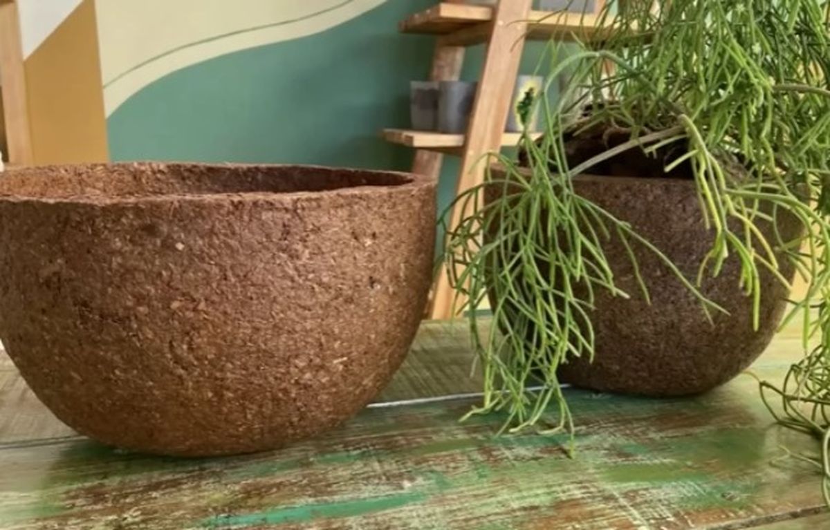 Reciclaje: así podrás crear una maravillosa maceta. Reciclaje: así podrás crear una maravillosa maceta.