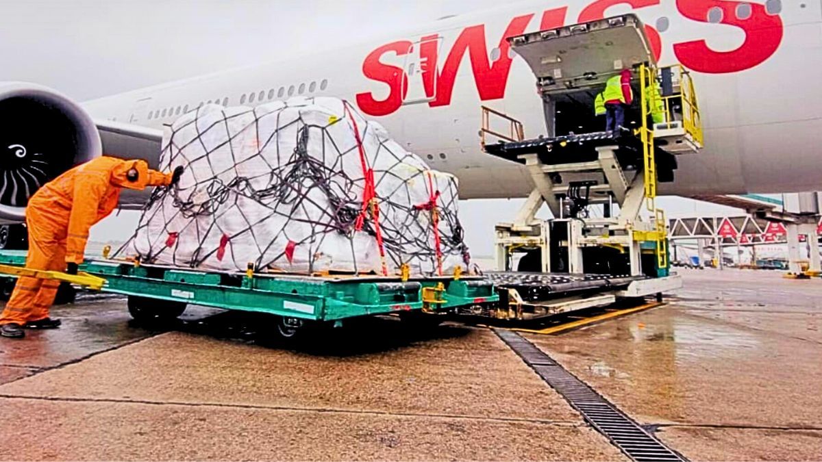 Ya hay diez empresas autorizadas para brindar servicio de rampa&nbsp;y handling aeroportuario en los aeropuertos del país.