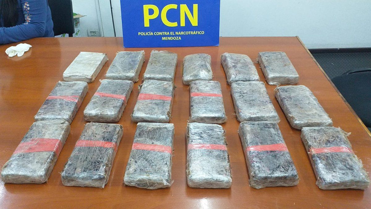 Golpe al narcotráfico en Mendoza: incautaron 20 kilos de cocaína. Golpe al narcotráfico en Mendoza: incautaron 20 kilos de cocaína.