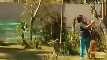 La filmación del asesinato de un perrito conmueve a Santa Fe: fue apuñalado y ahorcado por una mujer