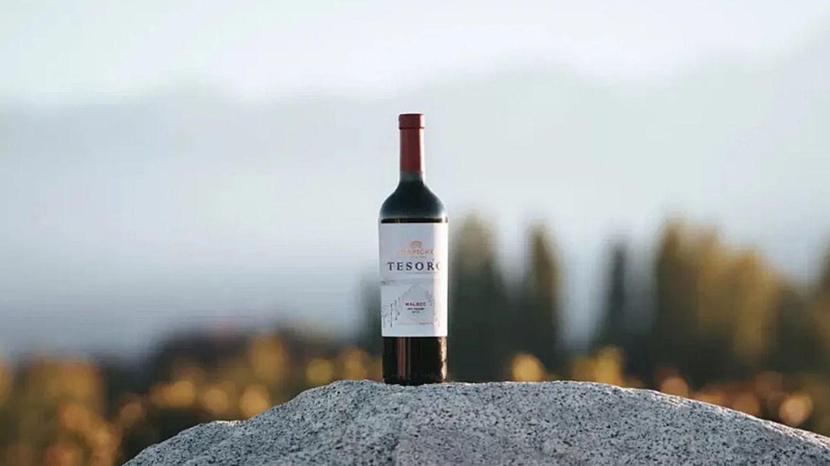 Un vino mendocino que cuesta menos de 7 mil pesos fue elegido el mejor Malbec del mundo
