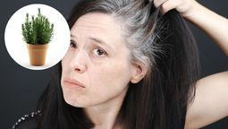 La planta de romero puede ayudarte a disimular las canas