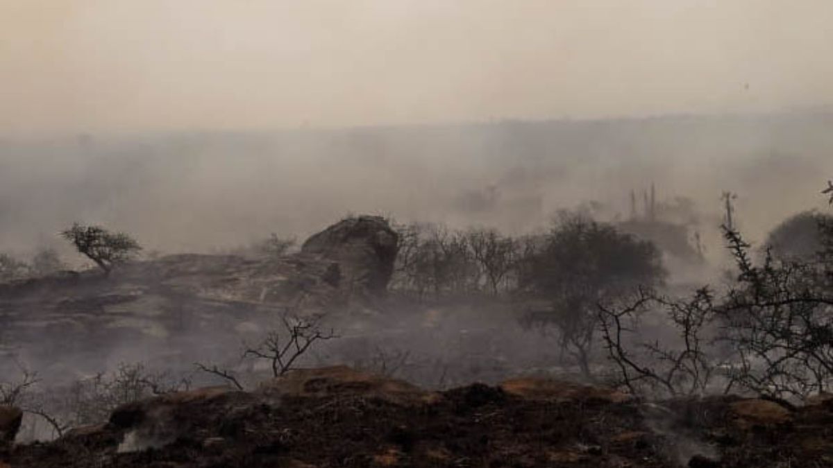 Incendio en Tala Cañada. (Foto: Brigada Los Chañares) Incendio en Tala Cañada. (Foto: Brigada Los Chañares)