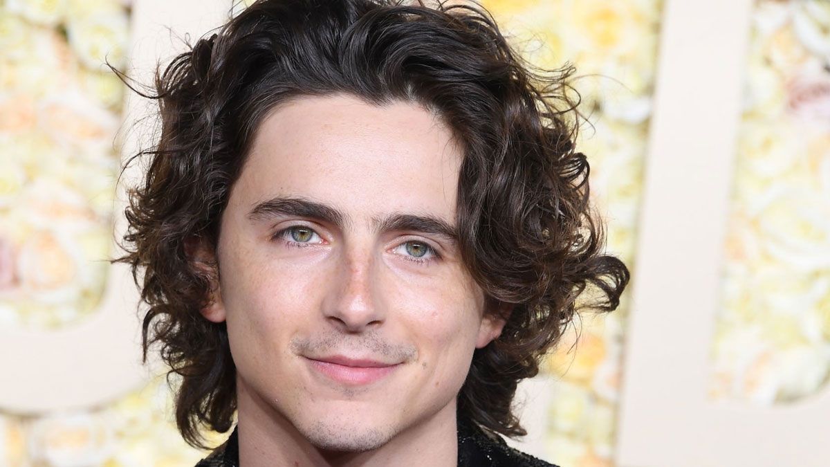 El actor Timothée Chalamet interpreta a Elio Perlman en la película de Netflix.