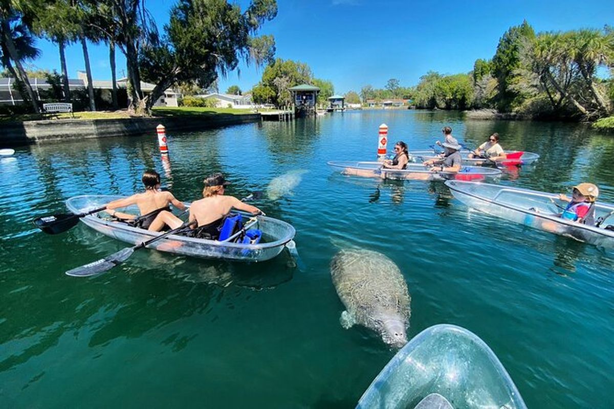 Para ver más vida salvaje, visite Hunters Springs Park, un parque público con una pequeña playa, área para nadar, embarcadero para canoas y kayak. Para ver más vida salvaje, visite Hunters Springs Park, un parque público con una pequeña playa, área para nadar, embarcadero para canoas y kayak.