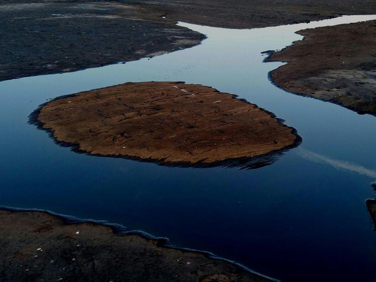 El lago de asfalto natural: tiene 10 millones de toneladas de brea y un valor excepcional.