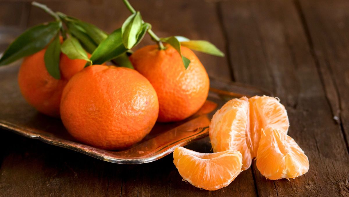 El mandarino es un árbol tropical que ofrece una deliciosa fruta más conocida como mandarina, es fácil de cultivar y cuidar. El mandarino es un árbol tropical que ofrece una deliciosa fruta más conocida como mandarina, es fácil de cultivar y cuidar.