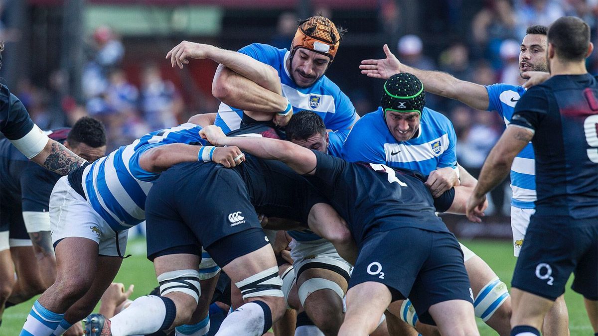 Los Pumas tienen un nuevo integrante