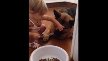 Video viral: ternura por una beba que da de comer a su perro