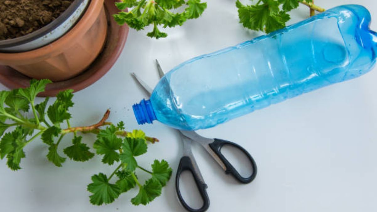 Reciclaje: guardá las botellas de plástico vacías y transformalas en elegantes macetas para tu jardín